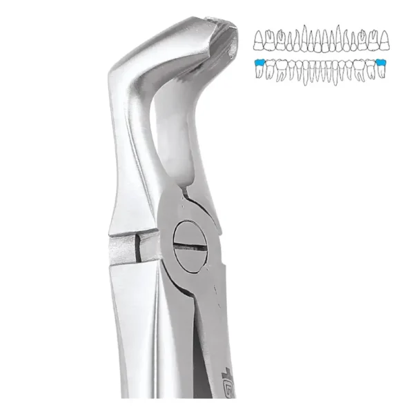 GDC Extraction Forcep Lower Third Molar-79 (FX79S)