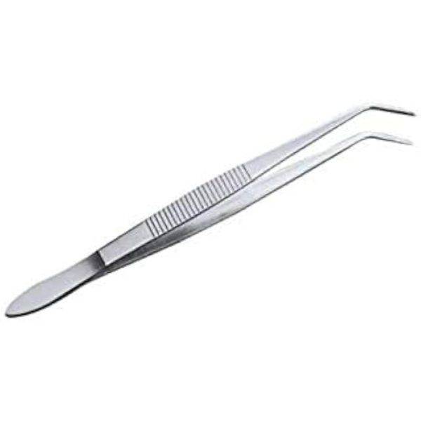 Indian Dental Tweezer