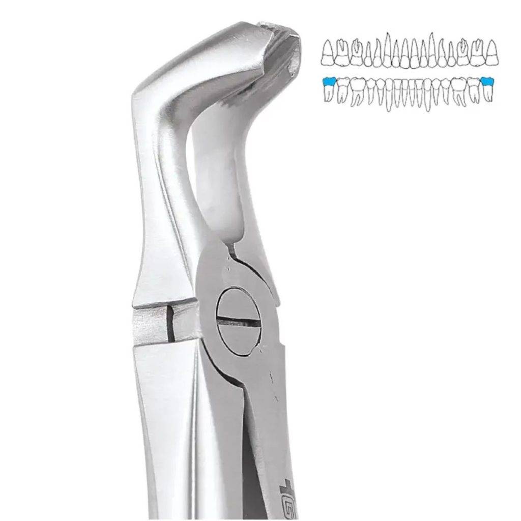 GDC Extraction Forcep Lower Third Molar-79 (FX79S)